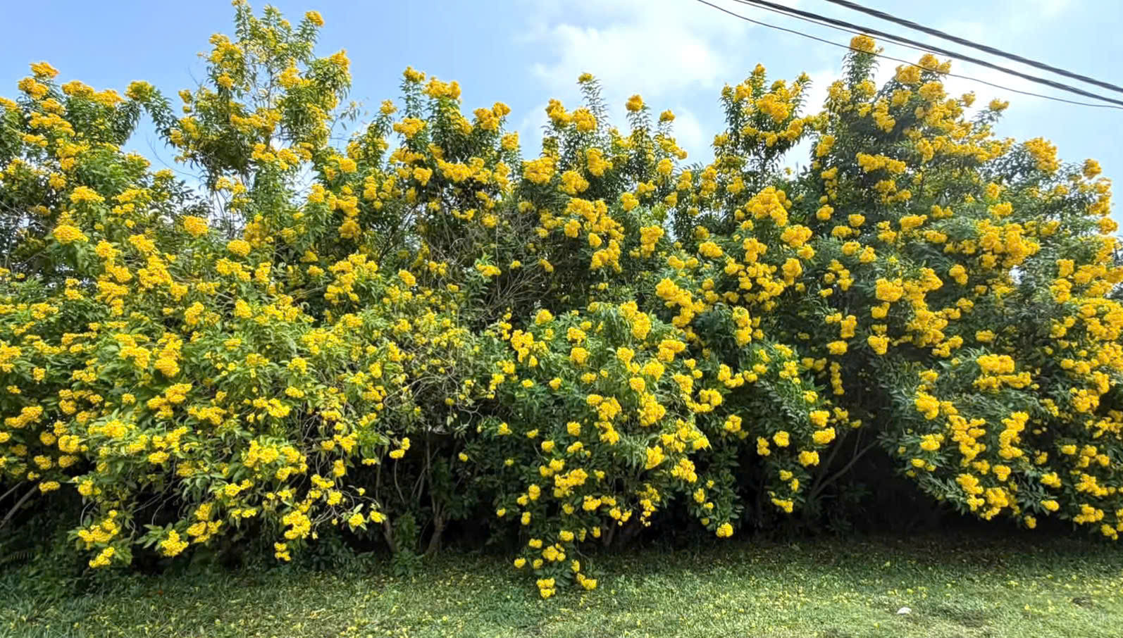chuong-2.jpg