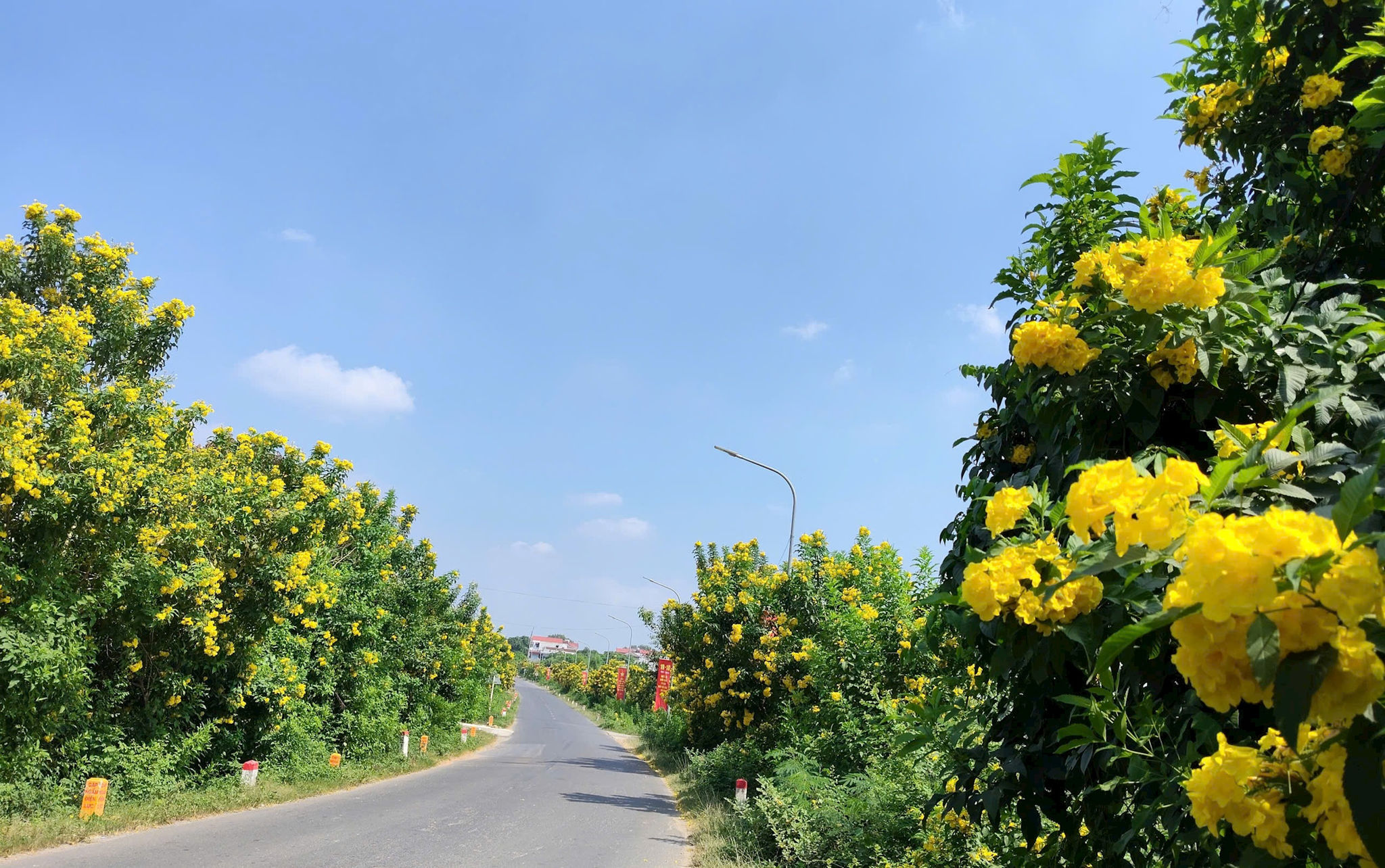 chuong-4.jpg