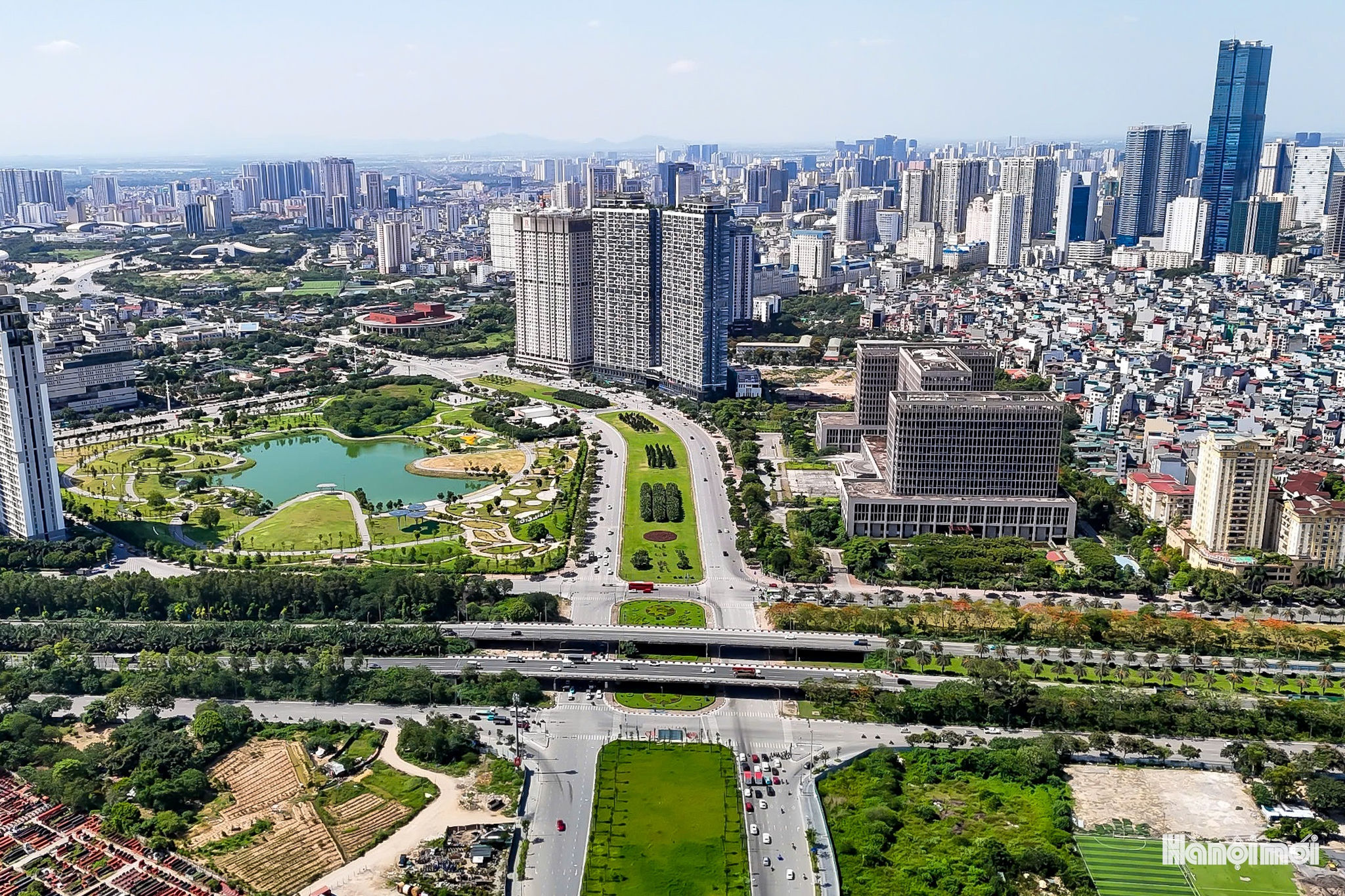 W_dailothanglong-cayxanh-16.jpg