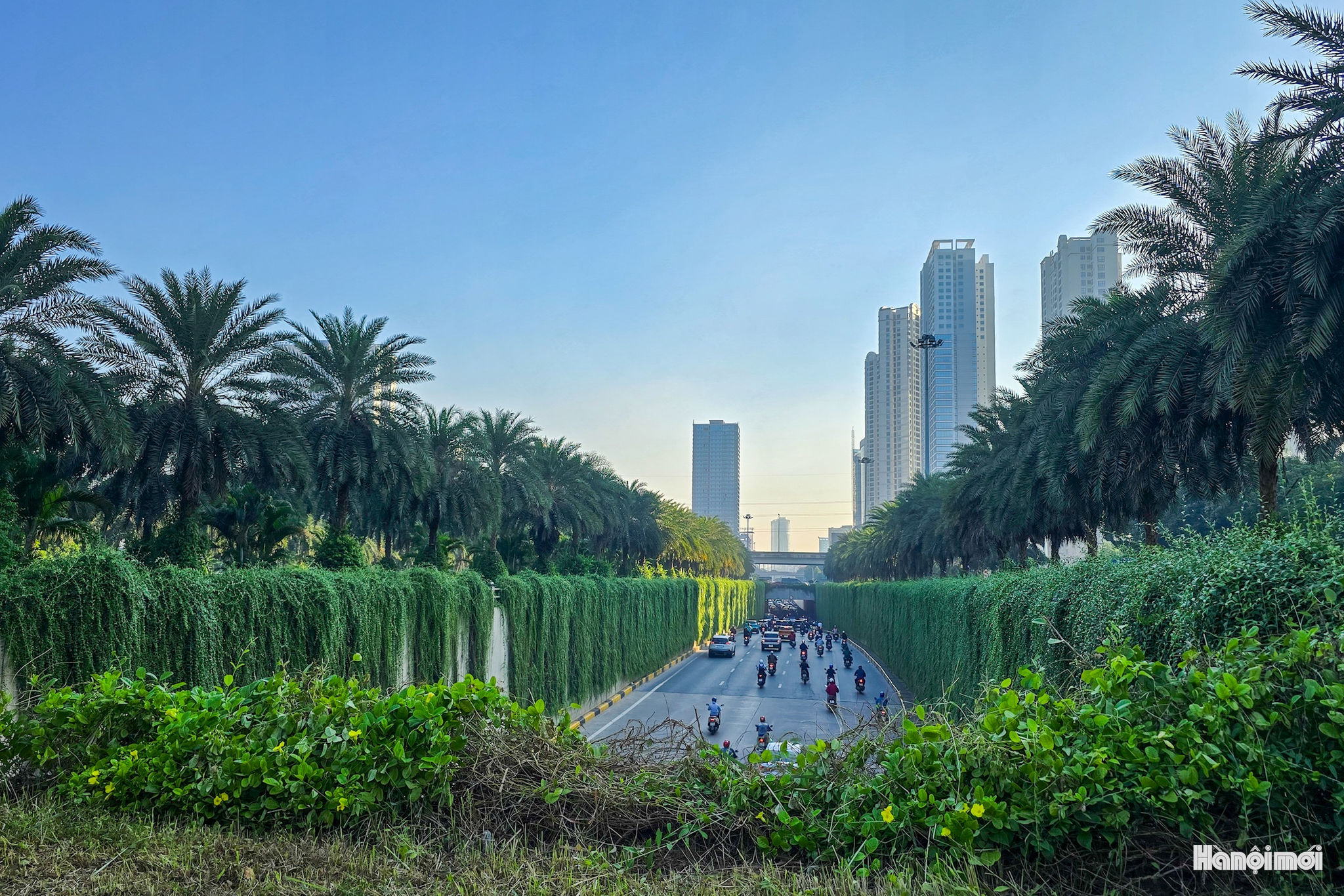 W_phuxanh-12.jpg