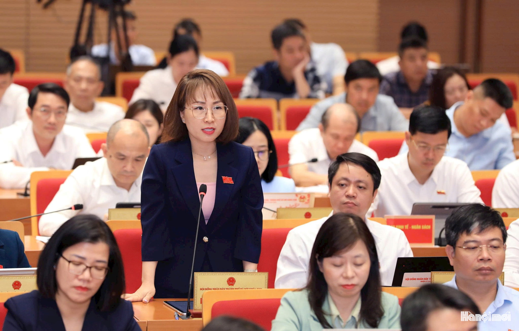 Đại biểu đặt câu hỏi tại phiên chất vấn. Ảnh: Thái Thành