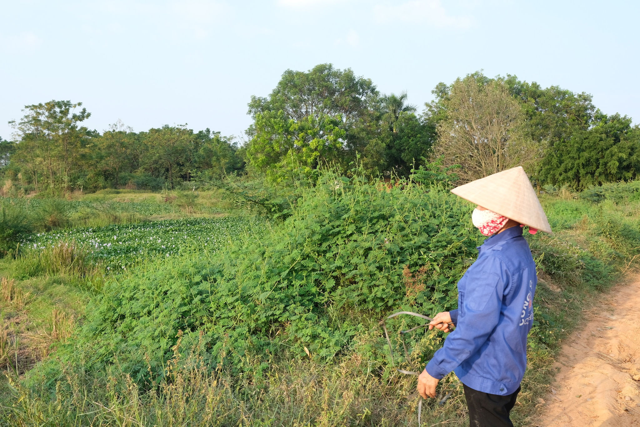 dscf5083.jpg