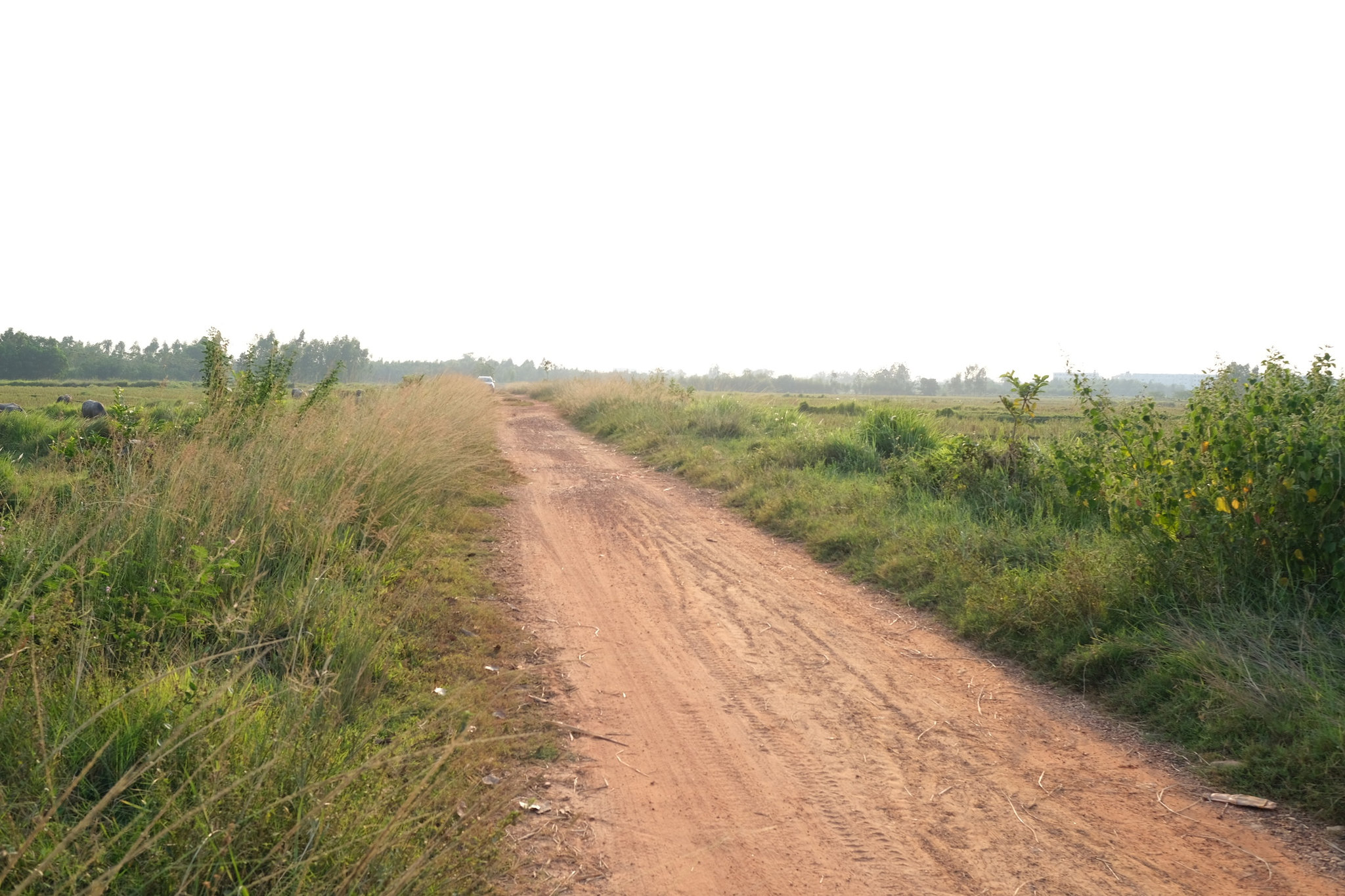 dscf5084.jpg