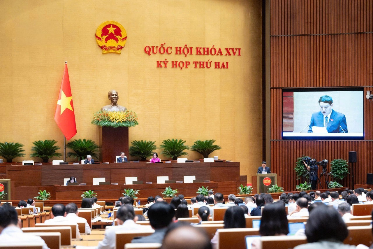 Quốc hội nghe Tờ trình Luật Hiến mô, tạng