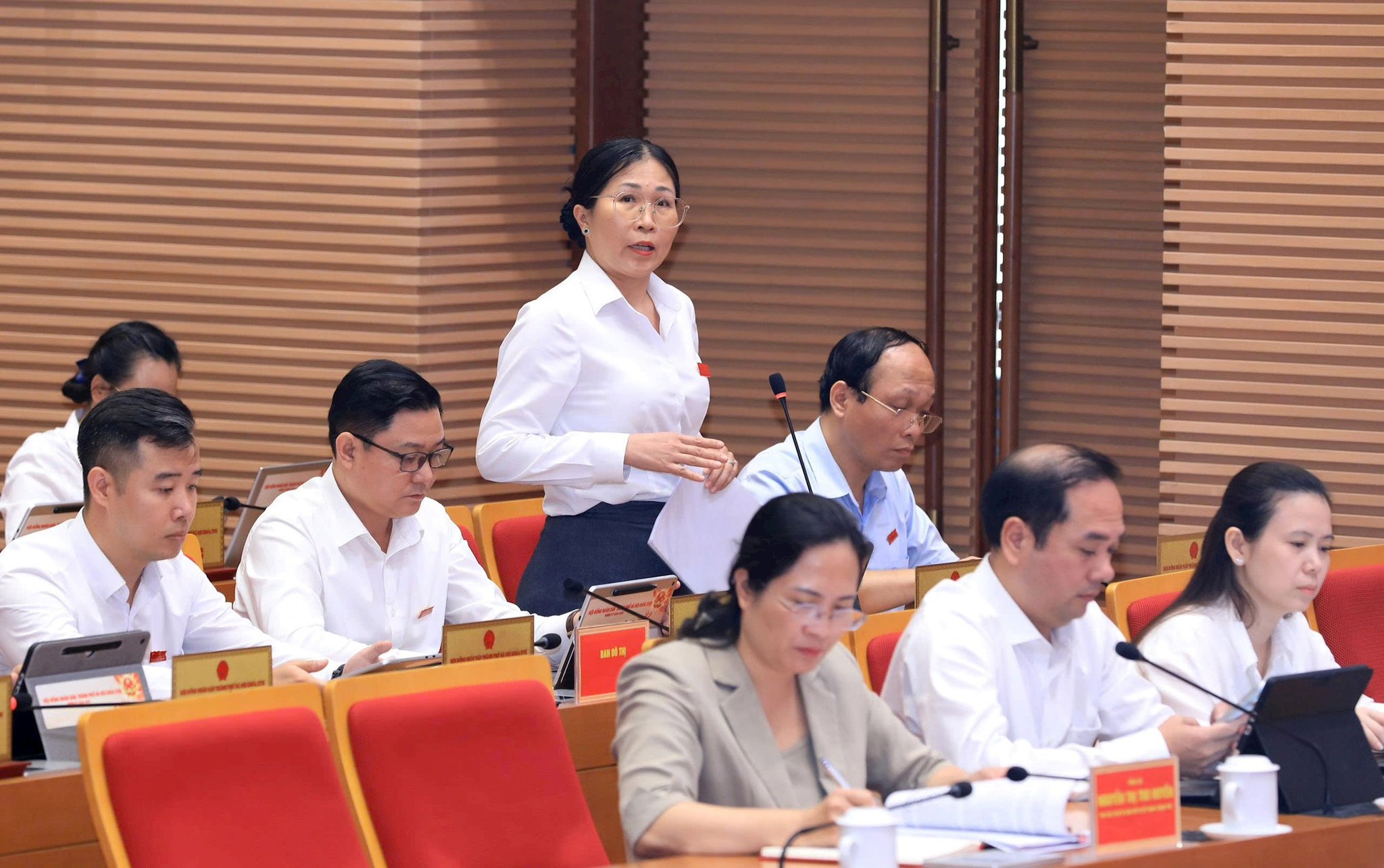 Đại biểu Nguyễn Thị Thanh Thủy tái chất vấn. Ảnh: Thành Thái