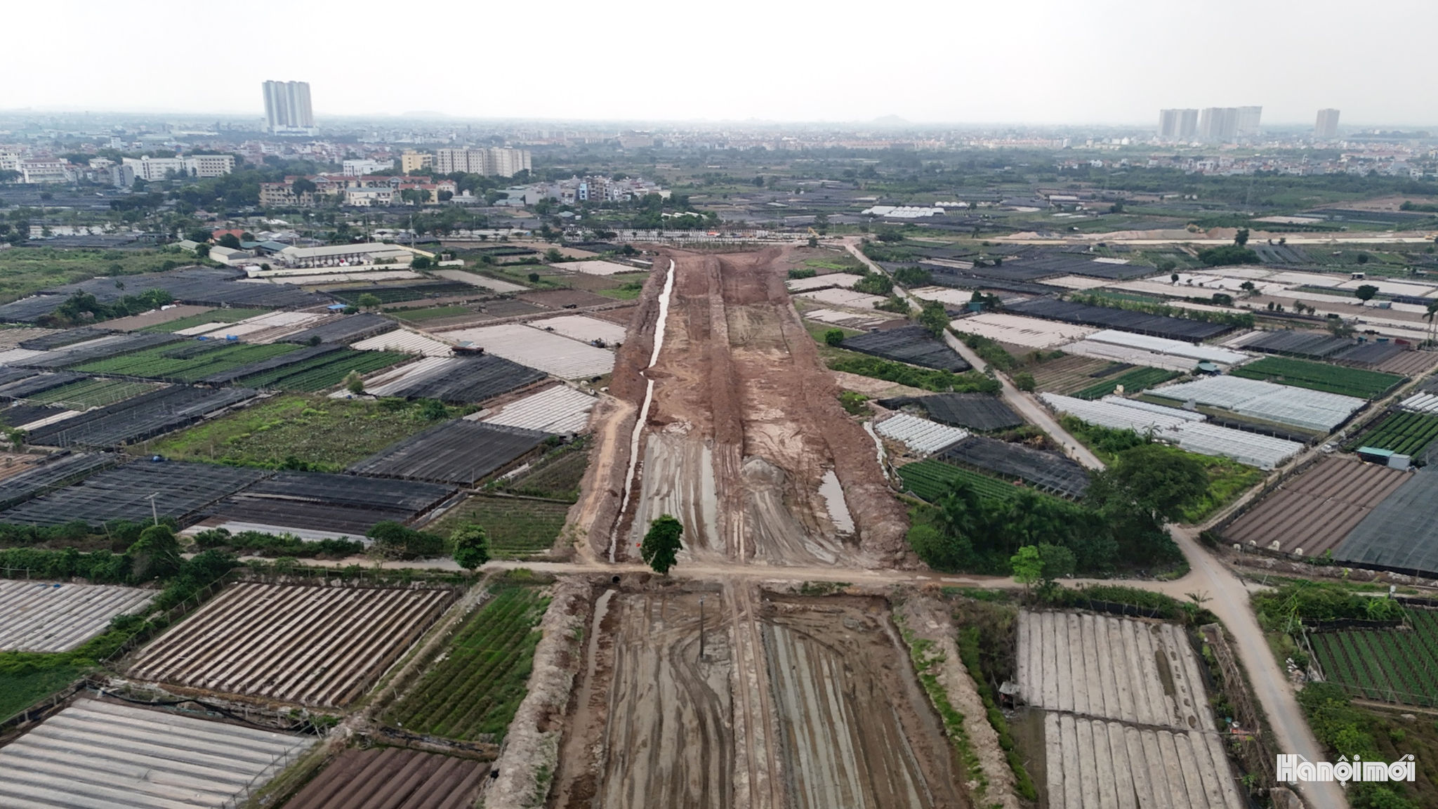 W_vanh-dai-3-5-1-.jpg