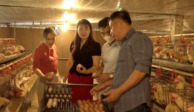 Anh Quách Trung Kiên chia sẻ kinh nghiệm nuôi Ai Cập đẻ trứng với lãnh đạo Trung tâm Dịch vụ tổng hợp xã Mỹ Đức. Ảnh: Biên Phạm