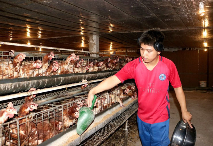 Không chỉ làm giàu cho bản thân, anh Kiên còn tạo việc làm thường xuyên cho nhiều lao động địa phương với mức thu nhập ổn định 8 triệu đồng/người/tháng. Ảnh: Biên Phạm