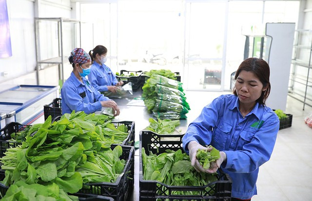 quang-thai.jpg