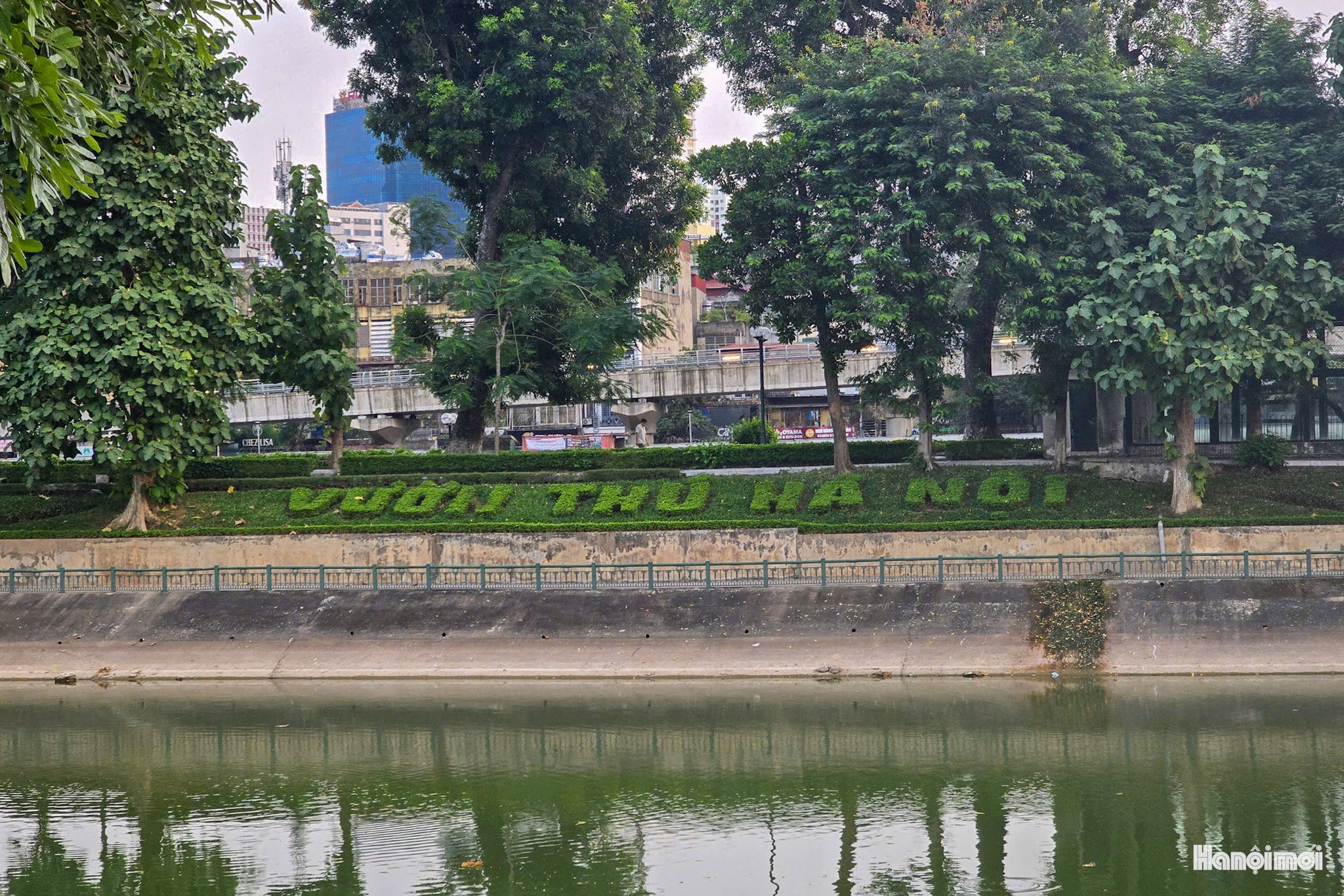 W_img_7157.jpg