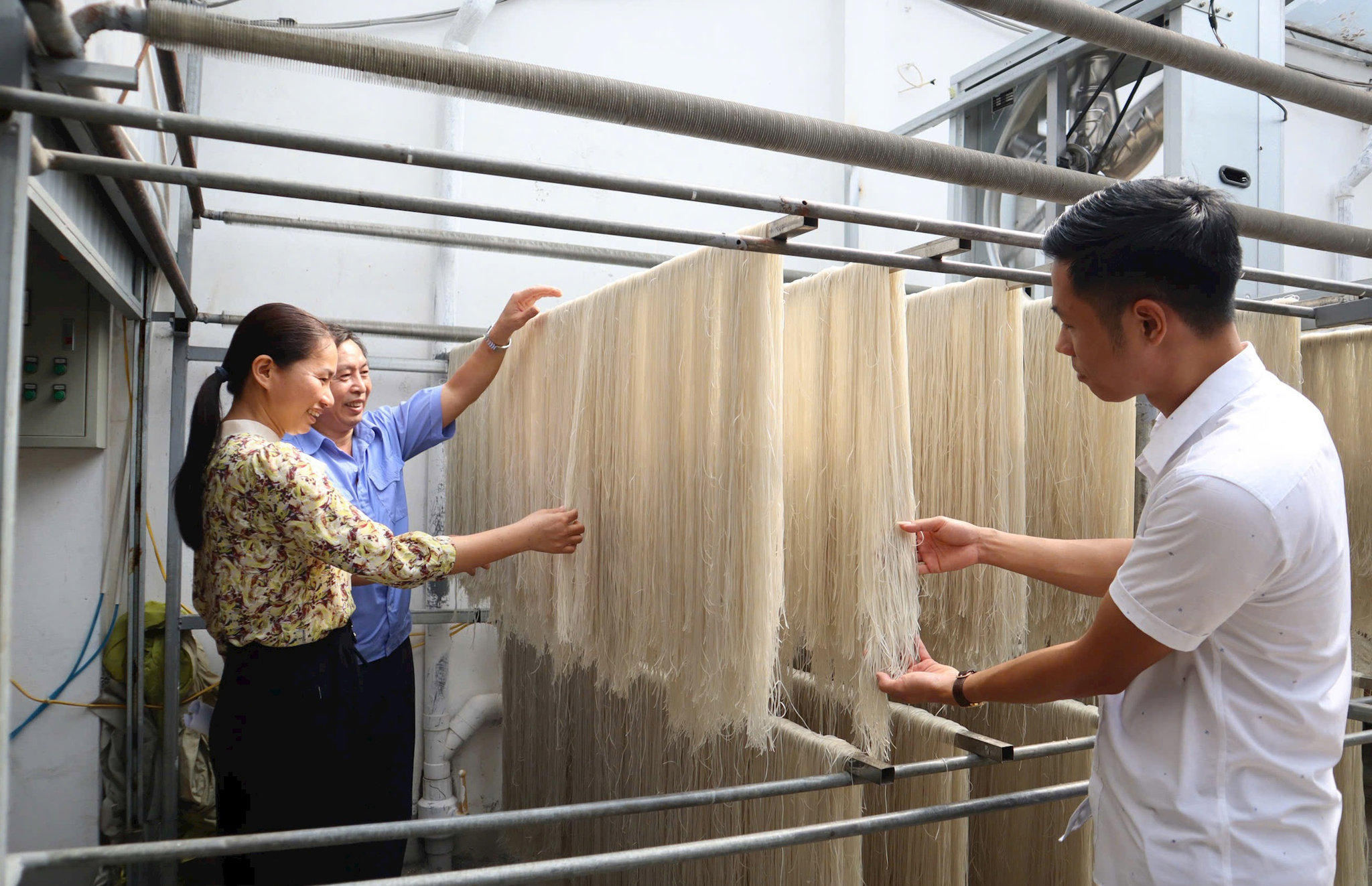 Phơi miến dong tại cơ sở sản xuất ở thôn Minh Hiệp (xã Dương Hòa). Ảnh: Mai Nguyễn