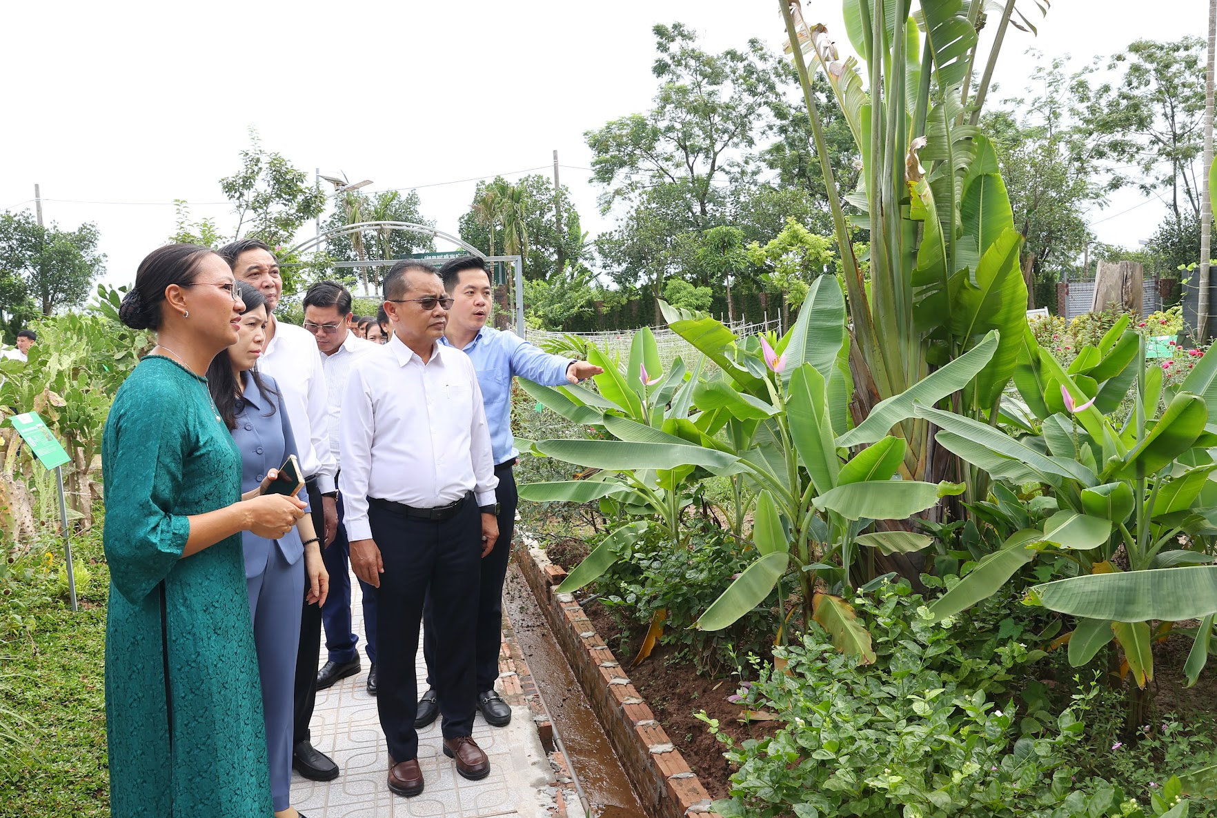 liem-minh-4.jpg