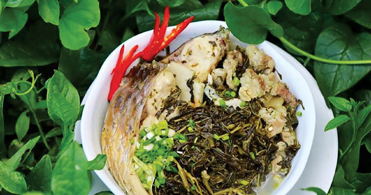 Nhớ bát canh rau sắn