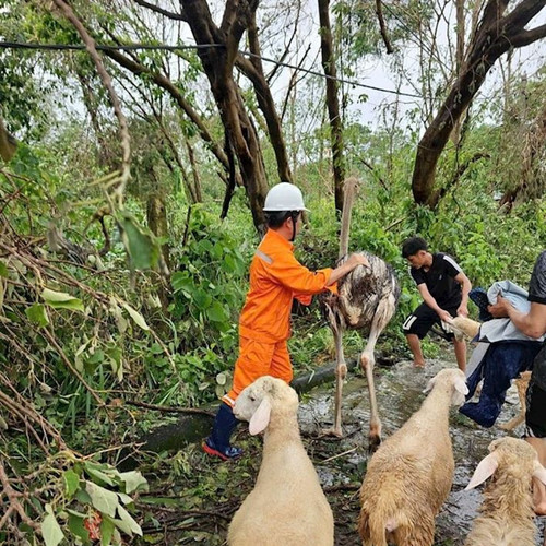 [Podcast] Tin tức ngày 11-9: Ngừng cấp điện các điểm ngập ở Hà Nội để bảo đảm an toàn