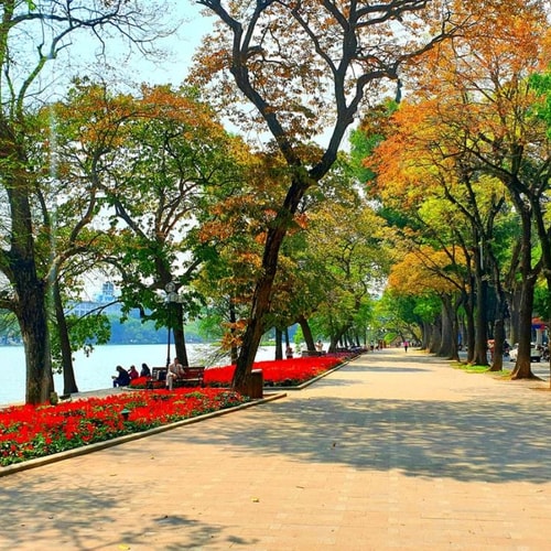 [Podcast tản văn] Hương phố