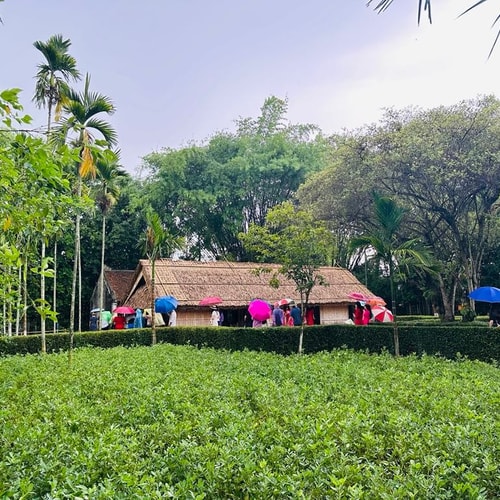[Podcast] Tin tức ngày 19-5: Cả nước tưởng nhớ Chủ tịch Hồ Chí Minh nhân kỷ niệm 135 năm ngày sinh