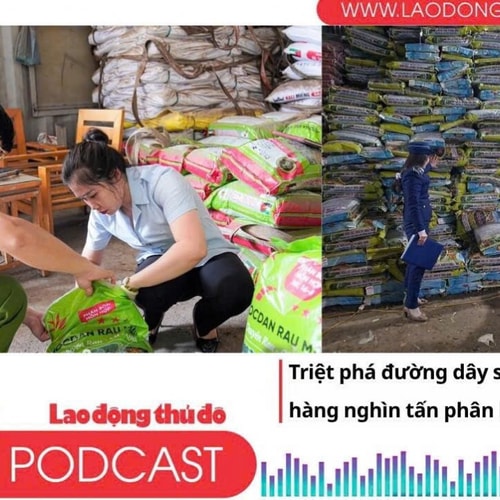Điểm những tin nổi bật sáng ngày 2/6/2025: Triệt phá đường dây sản xuất, tiêu thụ hàng nghìn tấn phân bón giả