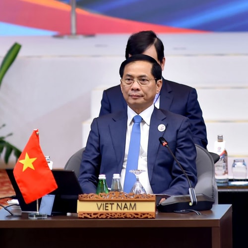 Việt Nam đề cao vai trò Hiệp ước Khu vực Đông Nam Á không có vũ khí hạt nhân