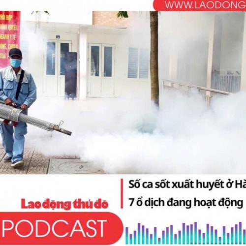 Điểm những tin nổi bật tối ngày 27/7/2025: Số ca sốt xuất huyết ở Hà Nội tăng gấp đôi, 7 ổ dịch đang hoạt động