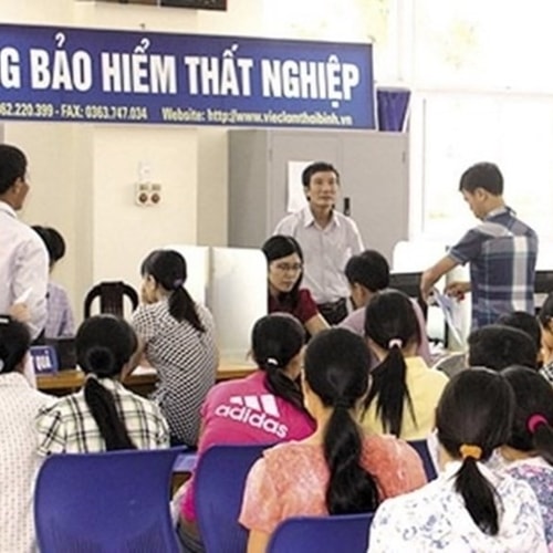 [Podcast] Những lý do khiến người lao động mất quyền hưởng trợ cấp thất nghiệp theo quy định mới