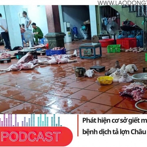 Điểm những tin nổi bật sáng ngày 8/8/2025: Phát hiện cơ sở giết mổ lợn nhiễm bệnh dịch tả lợn Châu Phi ở Hưng Yên