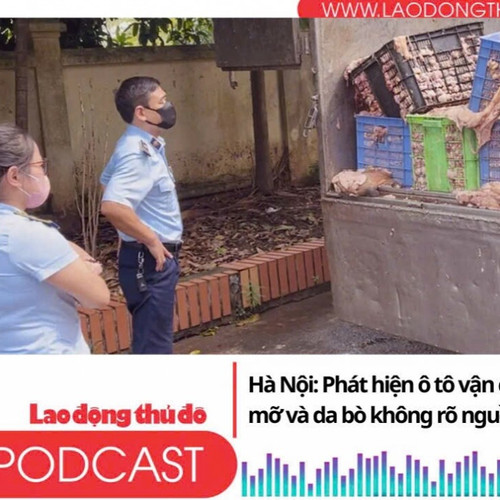 Điểm những tin nổi bật sáng ngày 15/8/2025: Hà Nội: Phát hiện ô tô vận chuyển hơn 2 tấn mỡ và da bò không rõ nguồn gốc