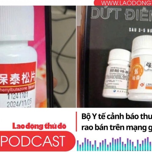 Điểm những tin nổi bật tối ngày 19/8/2025: Bộ Y tế cảnh báo thuốc trị đau khớp rao bán trên mạng gây nguy hiểm