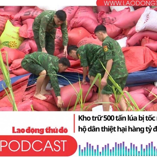 Điểm những tin nổi bật tối ngày 26/8/2025: Kho trữ 500 tấn lúa bị tốc mái do bão Kajiki, hộ dân thiệt hại hàng tỷ đồng