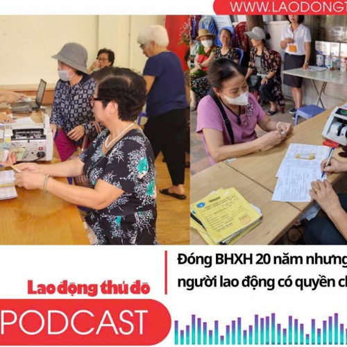 Đóng BHXH 20 năm nhưng chưa đủ tuổi hưu, người lao động có quyền chọn chế độ nào