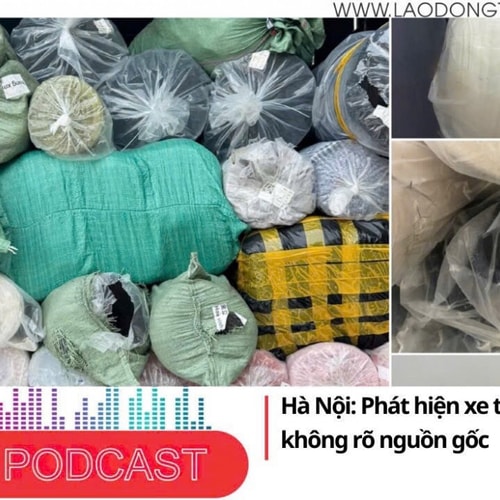 Điểm những tin nổi bật sáng ngày 11/9/2025: Hà Nội: Phát hiện xe tải chở 50 cây vải không rõ nguồn gốc