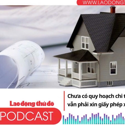 Điểm những tin nổi bật tối ngày 12/9/2025