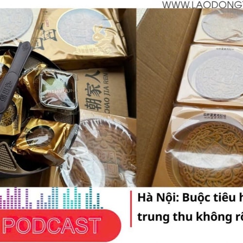 Điểm những tin nổi bật sáng ngày 13/9/2025: Hà Nội: Buộc tiêu huỷ 1.142 bánh trung thu không rõ nguồn gốc