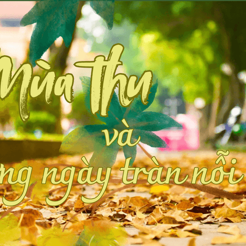 Podcast tản văn: Mùa Thu và những ngày tràn nỗi nhớ