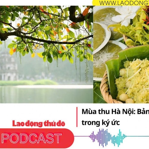 Mùa thu Hà Nội Bản nhạc dịu dàng trong ký ức