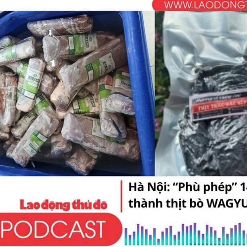 Điểm những tin nổi bật tối ngày 14/10/2025: Hà Nội: “Phù phép” 14 tấn thịt trâu thành thịt bò WAGYU