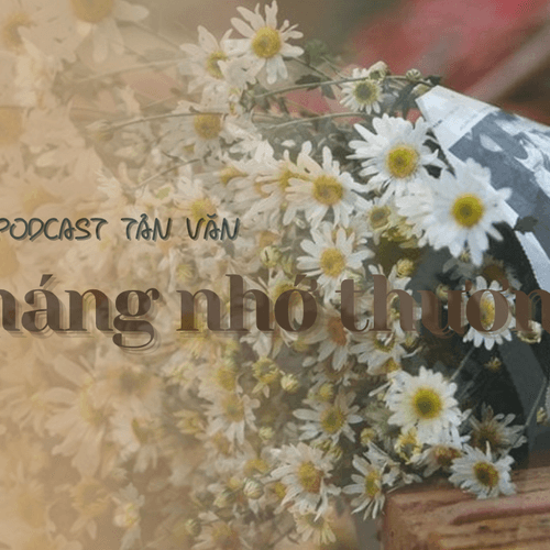 Podcast Tản văn: Tháng 11 nhớ thương!
