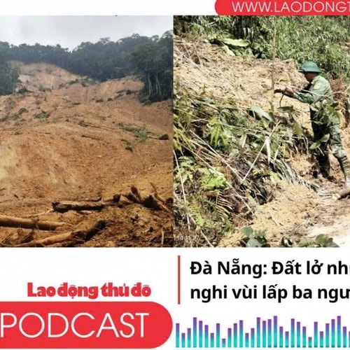 Điểm những tin nổi bật tối ngày 14/11/2025: Đà Nẵng: Đất lở như thác nước, nghi vùi lấp ba người