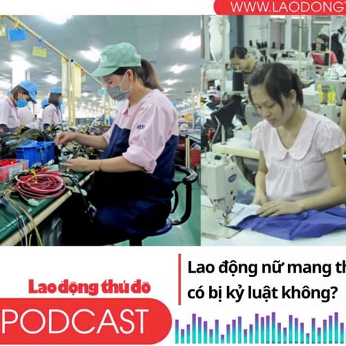 Lao động nữ mang thai, nếu vi phạm có bị kỷ luật không