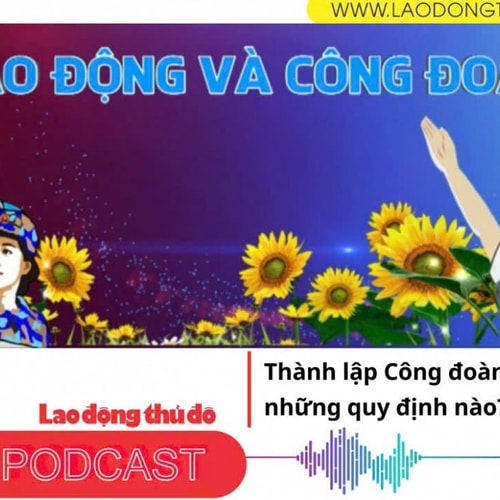 Thành lập Công đoàn cơ sở cần những quy định nào