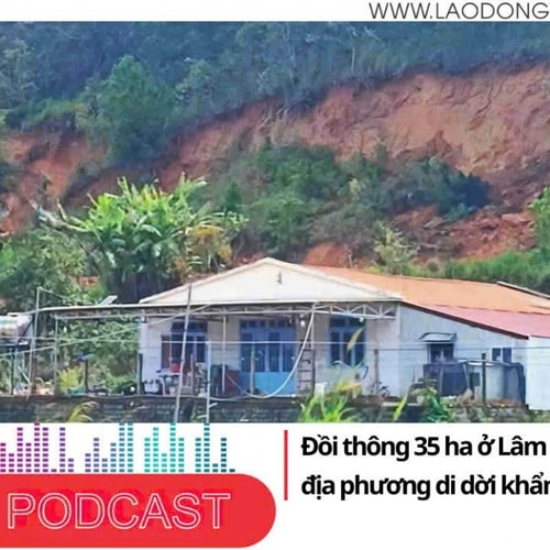 Điểm những tin nổi bật sáng ngày 12/12/2025: Đồi thông 35 ha ở Lâm Đồng sạt lở, địa phương di dời khẩn cấp nhiều hộ dân