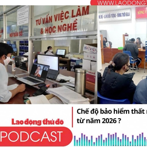 Từ năm 2026, chế độ bảo hiểm thất nghiệp có gì mới