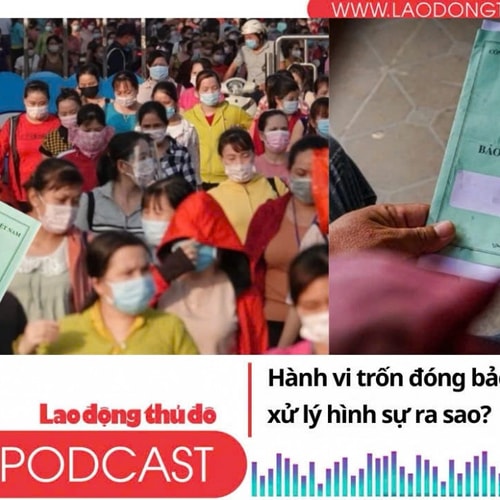 Hành vi trốn đóng bảo hiểm xã hội bị xử lý hình sự ra sao
