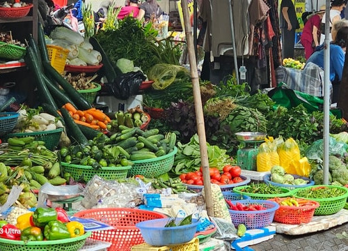 [Podcast] Tin tức ngày 29-12: Hà Nội quyết xóa 75 “chợ cóc” trước Tết Nguyên đán