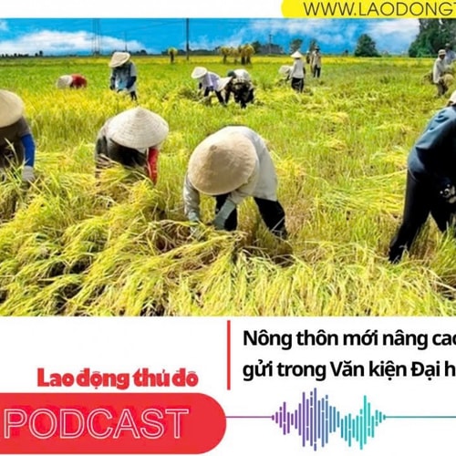 Nông thôn mới nâng cao Những kỳ vọng gửi trong Văn kiện Đại hội XIV