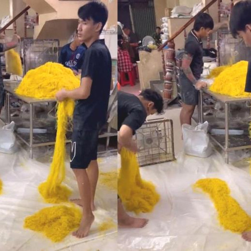 [Podcast] Tin tức ngày 12-1: Triệt phá đường dây mì sợi dùng chất cấm