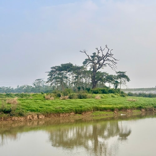 [Podcast] Du lịch xanh Đa Phúc: Trải nghiệm bên sông Cà Lồ