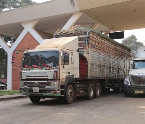 [Podcast] Nghị định 46 về an toàn thực phẩm tạm dừng đến hết ngày 15-4