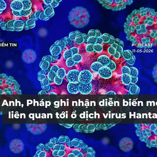 [Podcast] Tin tức thế giới ngày 11-5: Anh, Pháp ghi nhận diễn biến mới liên quan tới ổ dịch virus Hanta