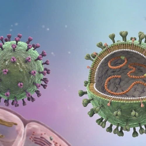 [Podcast] Tin tức ngày 13-5: Chưa ghi nhận công dân Việt Nam liên quan đến virus Hanta