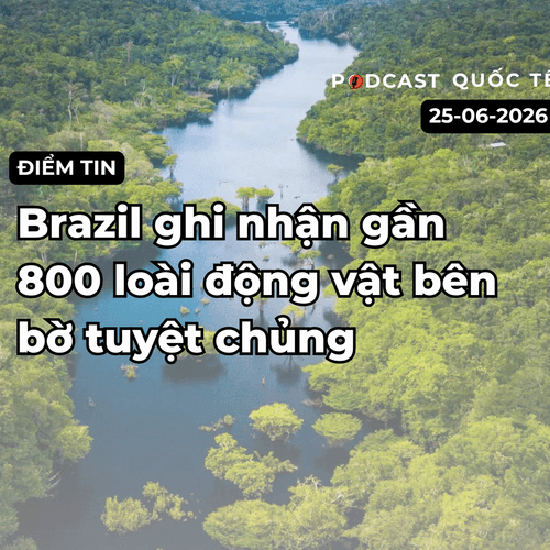 [Podcast] Tin tức thế giới ngày 25-6: Venezuela và Nhật Bản ghi nhận động đất mạnh
